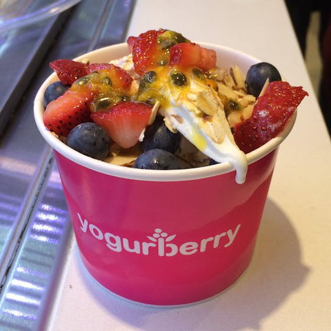 Yogurberry - Penrith - Rent Accommodation 0
