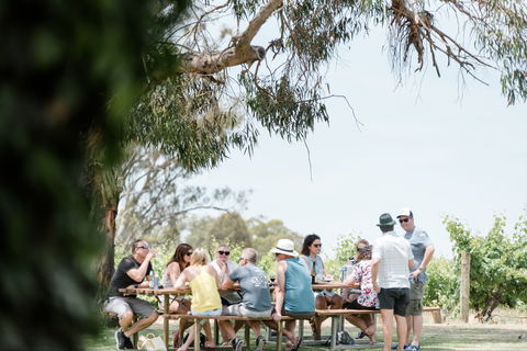 St Leonards Vineyard Café - Rent Accommodation 0