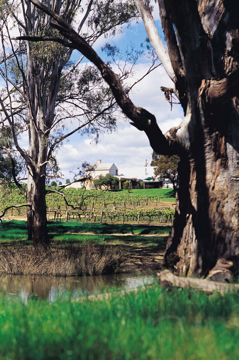 St Leonards Vineyard Café - Rent Accommodation 1