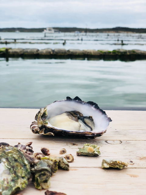 Oyster HQ - Rent Accommodation 1