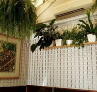 Plane Tree Cafe - Rent Accommodation