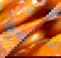 Morish Nuts - Rent Accommodation