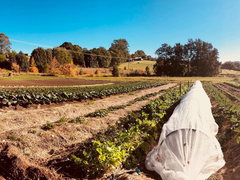 Synchronicity Farm - Rent Accommodation 0