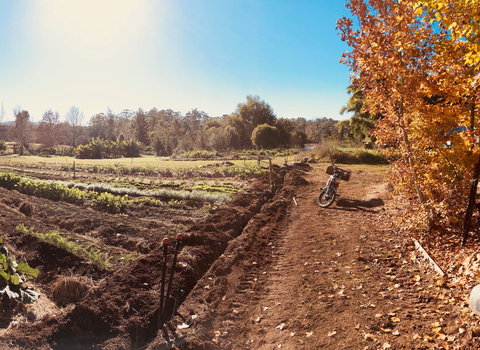 Synchronicity Farm - Rent Accommodation 1