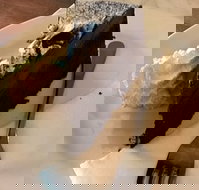 Dome - Rent Accommodation