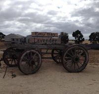 Emu Bay Lavender - Rent Accommodation