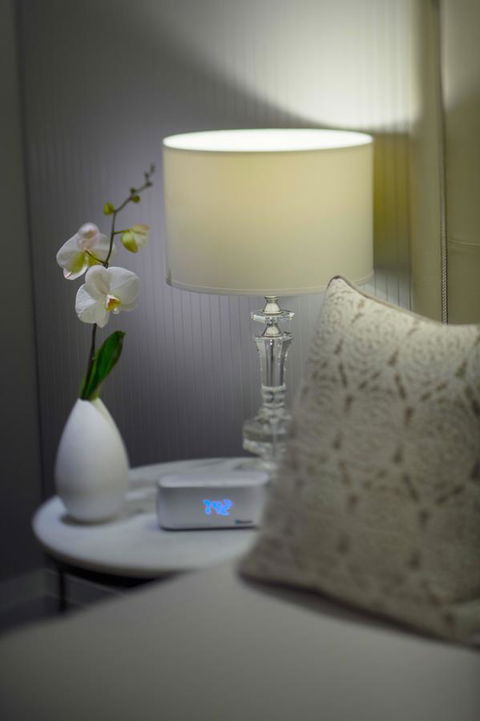 Mayfair Hotel - Rent Accommodation 13