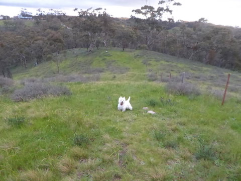 Molly's Chase - Rent Accommodation 22