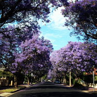 Monaco Court Apartment Adelaide