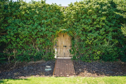 Mick O\'Sheas - Rent Accommodation 32