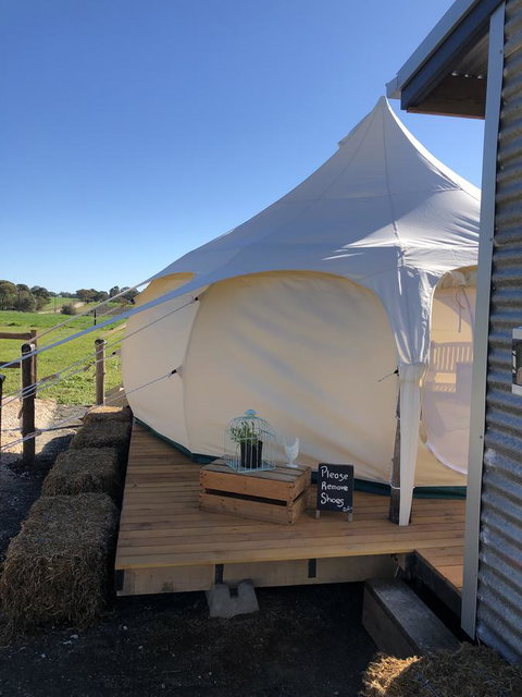 Bukirk Glamping & Fancy Coops - Rent Accommodation 11