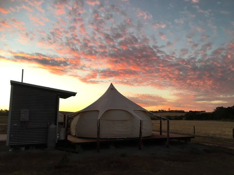 Bukirk Glamping & Fancy Coops - Rent Accommodation 24