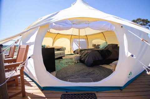 Bukirk Glamping & Fancy Coops - Rent Accommodation 14