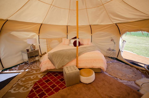 Bukirk Glamping & Fancy Coops - Rent Accommodation 4