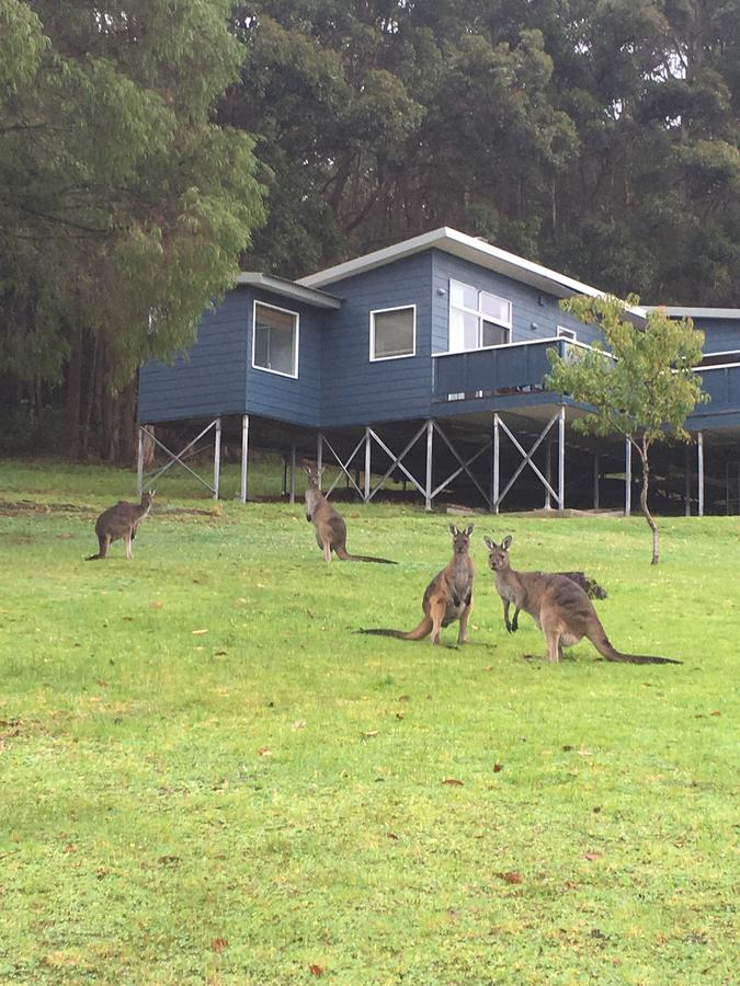 Denmark WA Rent Accommodation