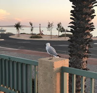 Shark Bay Seafront Apartments - Rent Accommodation