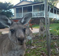 Bush  Bay Cottage - Rent Accommodation