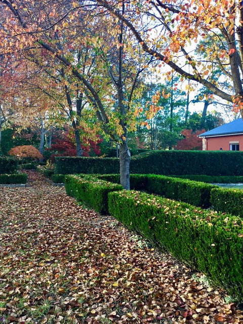 Chanticleer Gardens Barn Cottage With A Pool - Rent Accommodation 37