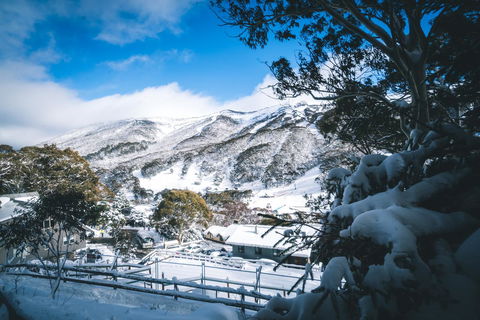 Pure Chalet Thredbo - Rent Accommodation 31