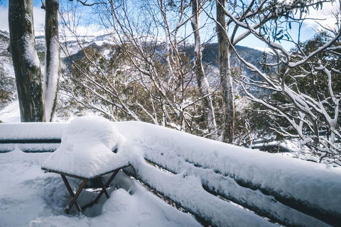 Pure Chalet Thredbo - Rent Accommodation 19