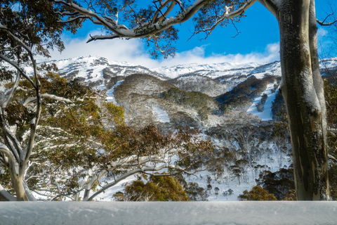 Pure Chalet Thredbo - Rent Accommodation 17