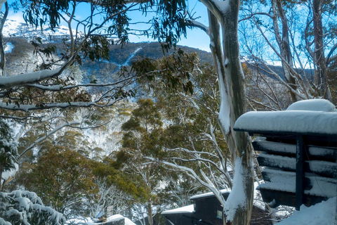 Pure Chalet Thredbo - Rent Accommodation 30