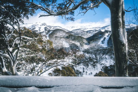 Pure Chalet Thredbo - Rent Accommodation 2