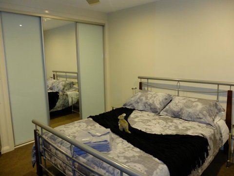 Rock Wallaby - Rent Accommodation 14