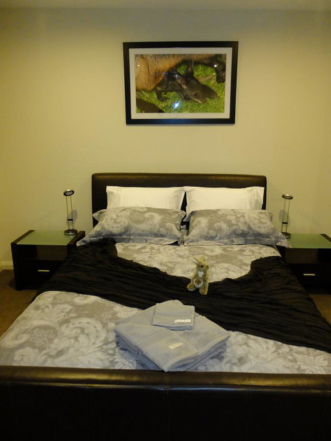 Rock Wallaby - Rent Accommodation 18