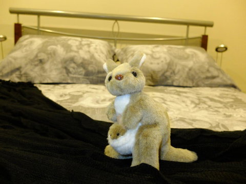 Rock Wallaby - Rent Accommodation 17