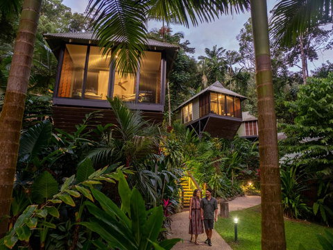 Daintree Ecolodge - Rent Accommodation 0