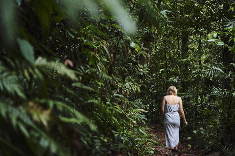 Daintree Ecolodge - Rent Accommodation 2