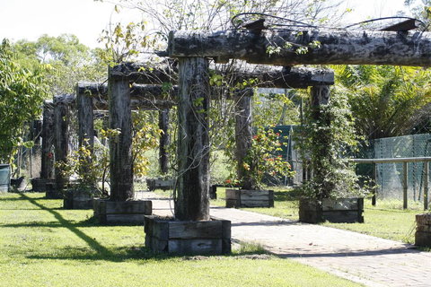 Daintree Wild Bed & Breakfast - Rent Accommodation 2