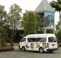 Daintree Wild Bed  Breakfast - Rent Accommodation