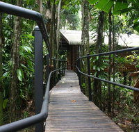 Daintree Wilderness Lodge - Rent Accommodation