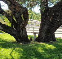 Farm Stay Studio - Rent Accommodation