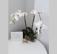 Gawler Heritage Accommodation - Rent Accommodation