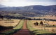LeCamah Hill - thumb 2