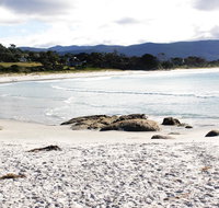Mermaids of Bicheno - Rent Accommodation