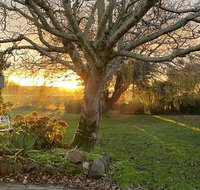 Peg Cottage - Rent Accommodation