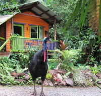 Rainforest Hideaway - Rent Accommodation