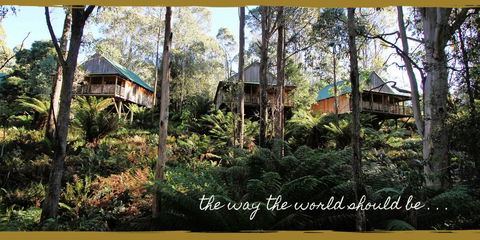Lemonthyme Wilderness Retreat - Rent Accommodation 20