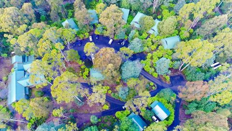 Lemonthyme Wilderness Retreat - Rent Accommodation 1