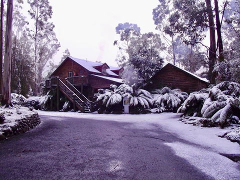 Lemonthyme Wilderness Retreat - Rent Accommodation 12