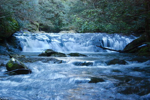 Lemonthyme Wilderness Retreat - Rent Accommodation 10