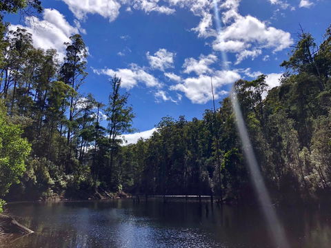 Lemonthyme Wilderness Retreat - Rent Accommodation 7