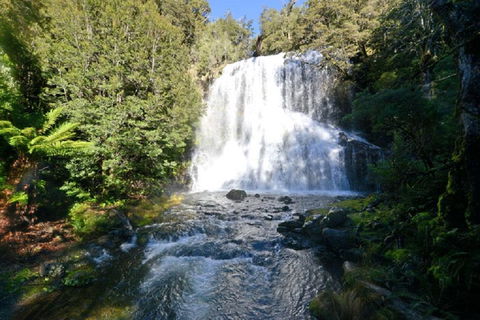 Lemonthyme Wilderness Retreat - Rent Accommodation 19