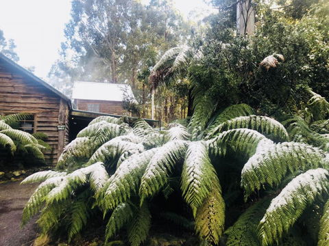 Lemonthyme Wilderness Retreat - Rent Accommodation 5