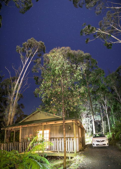 Lemonthyme Wilderness Retreat - Rent Accommodation 3