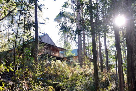 Lemonthyme Wilderness Retreat - Rent Accommodation 25